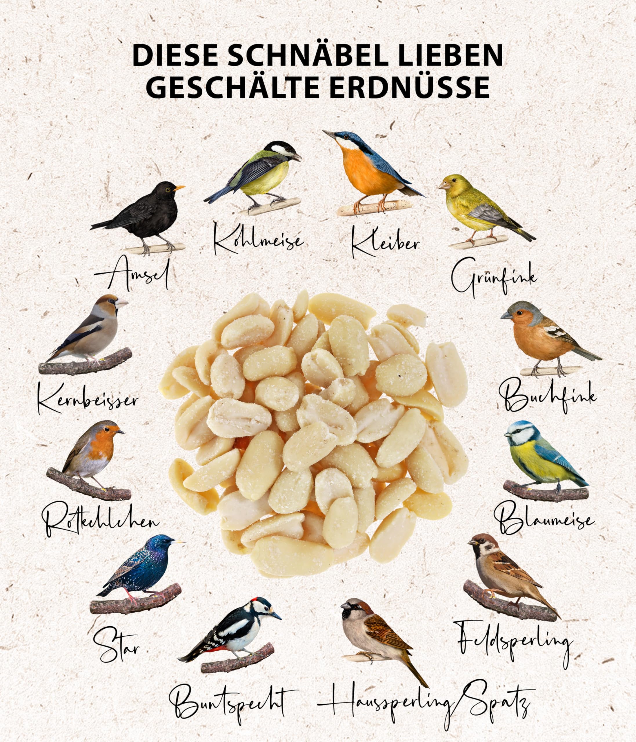 Dehner Natura Mangime per Uccelli Selvatici Arachidi 3,4 kg