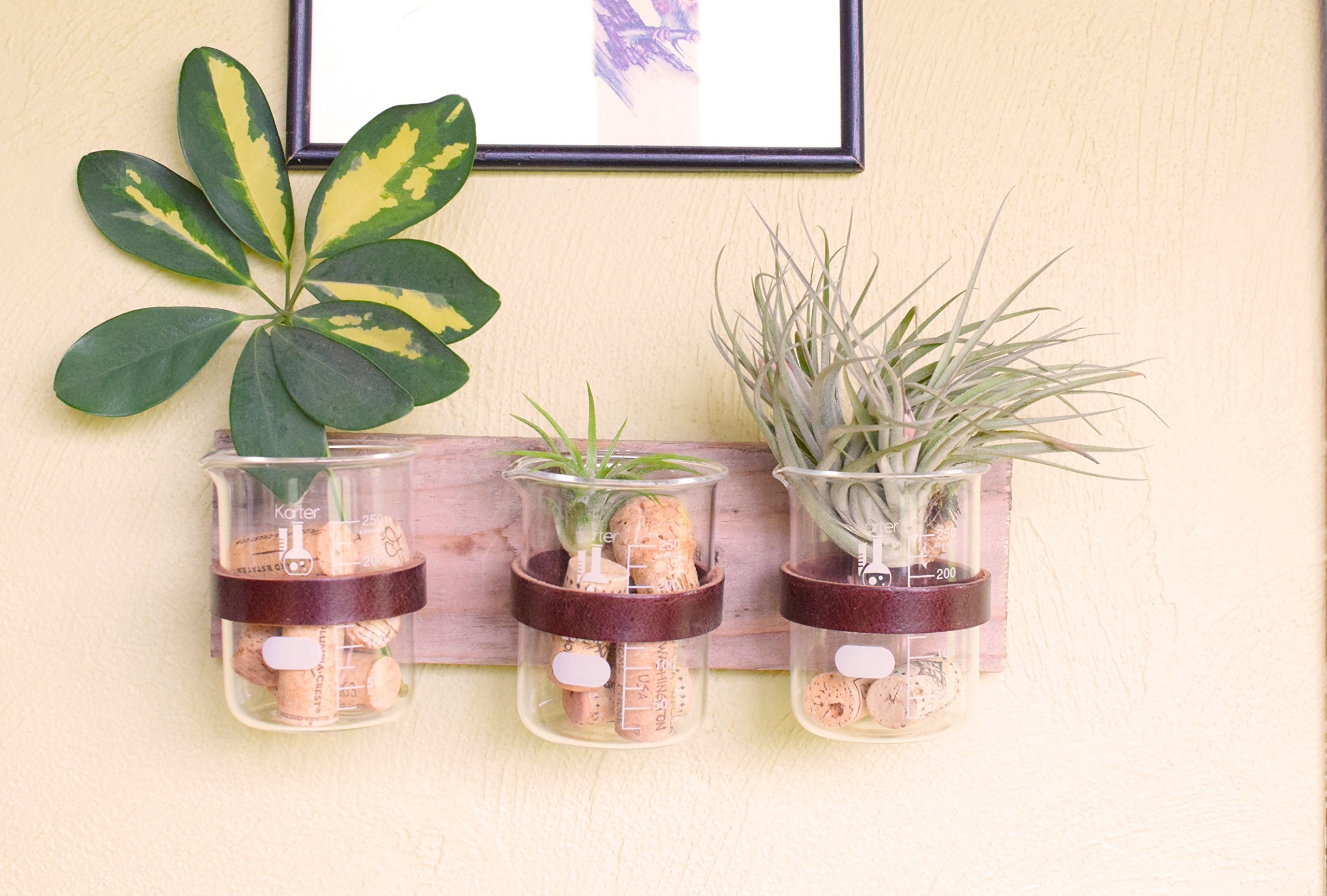 Leather Botanist Vase