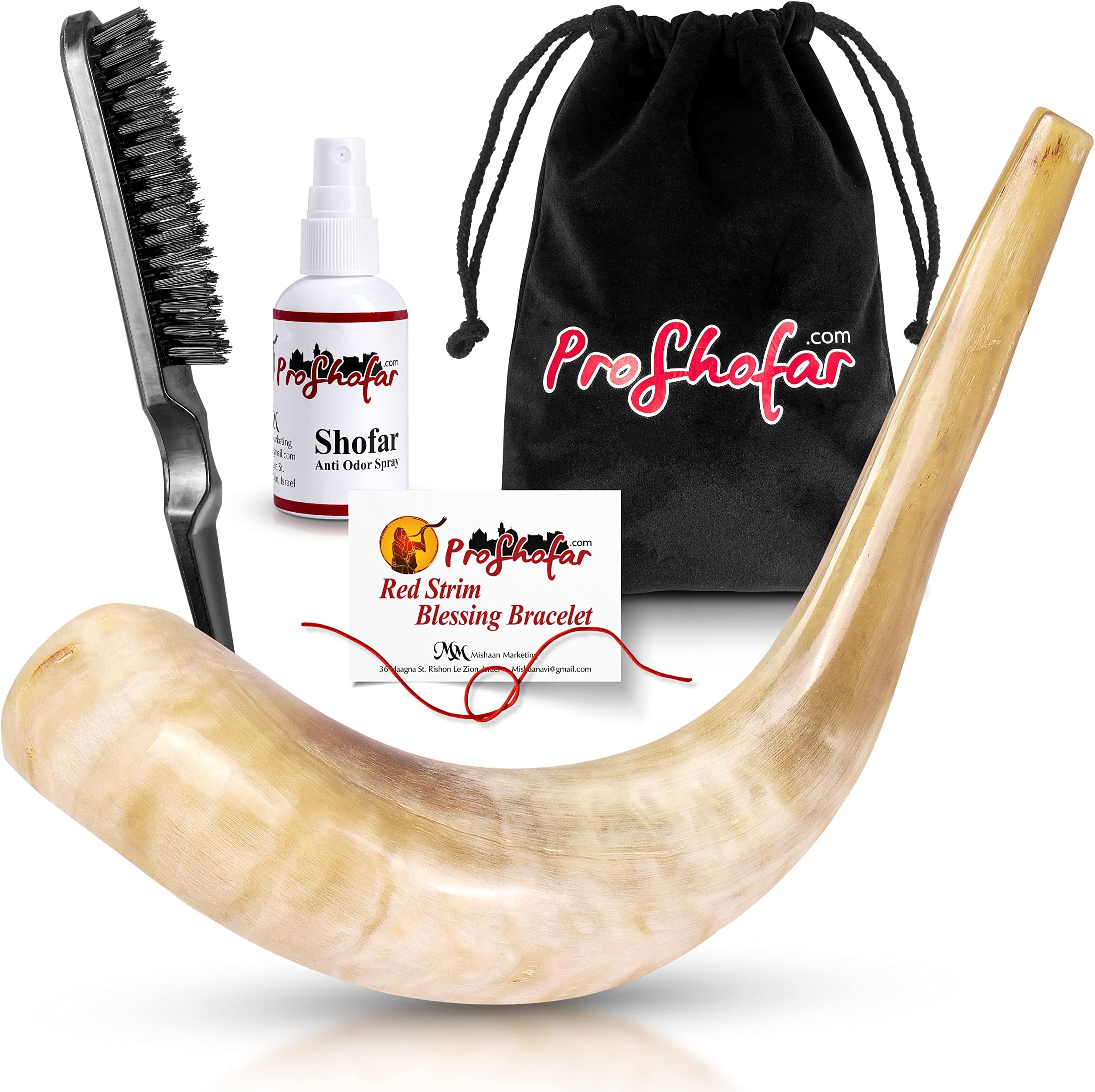 Polished Ram Shofar Set