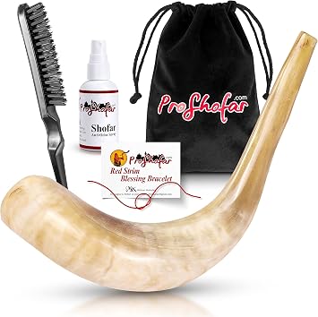 Polished Ram Shofar Set