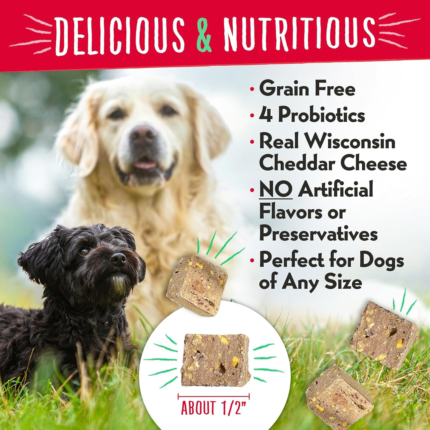 Charlee Bear Grain Free Meaty Bites Freeze Dried Dog Treats with Probiotics, Puppy Training Snacks, Soft Dog Bites Beef Liver with Cheddar Cheese, 2.25 oz Bags (2), Made USA