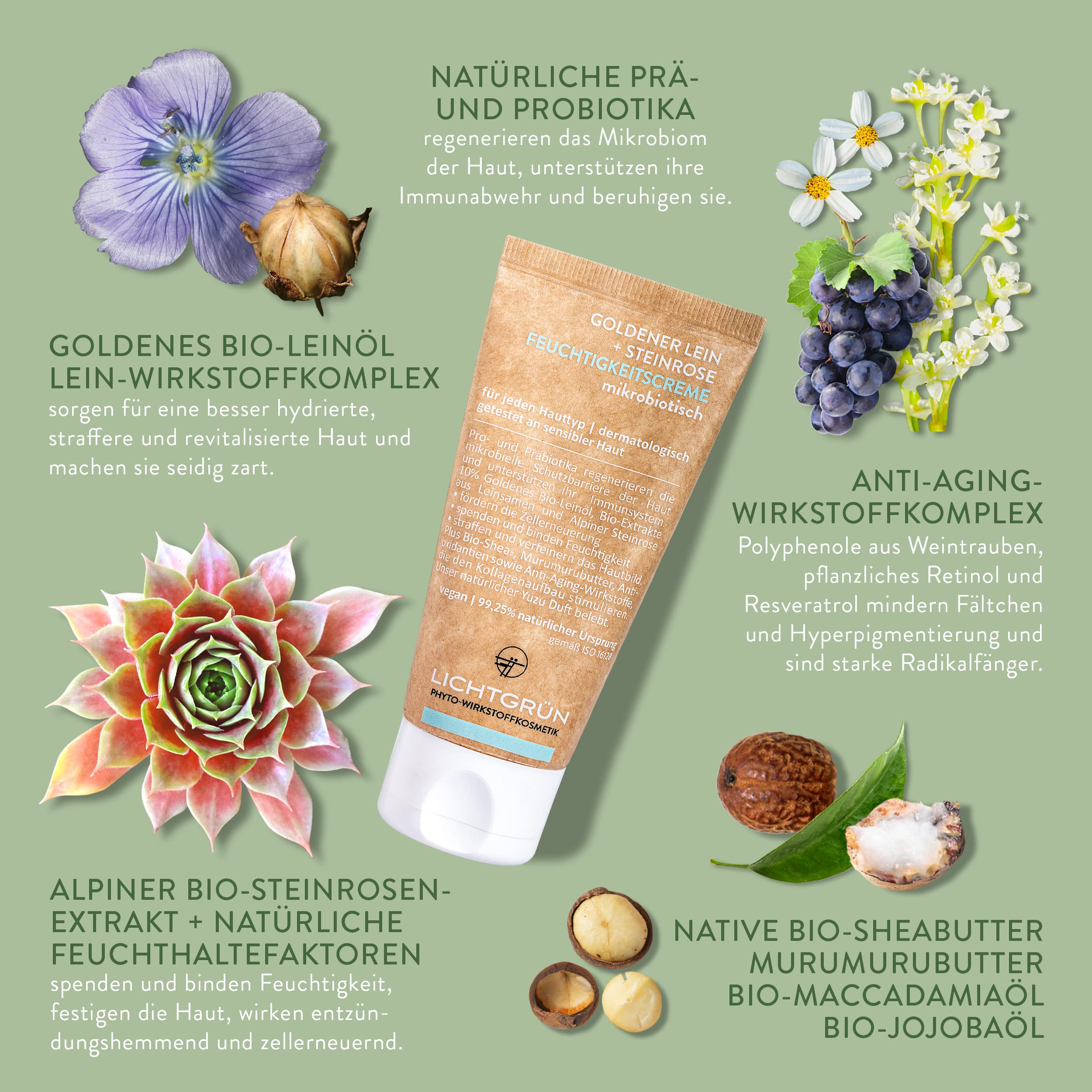 Set Hydro-Vital-Boost, Hyaluronserum 30 ml und Feuchtigkeitscreme 50 ml, Gesichtspflege mit Hyaluron, Bio-Steinrose und Bio-Leinöl, für feuchtigkeitsarme Haut, vegan, Made in Germany