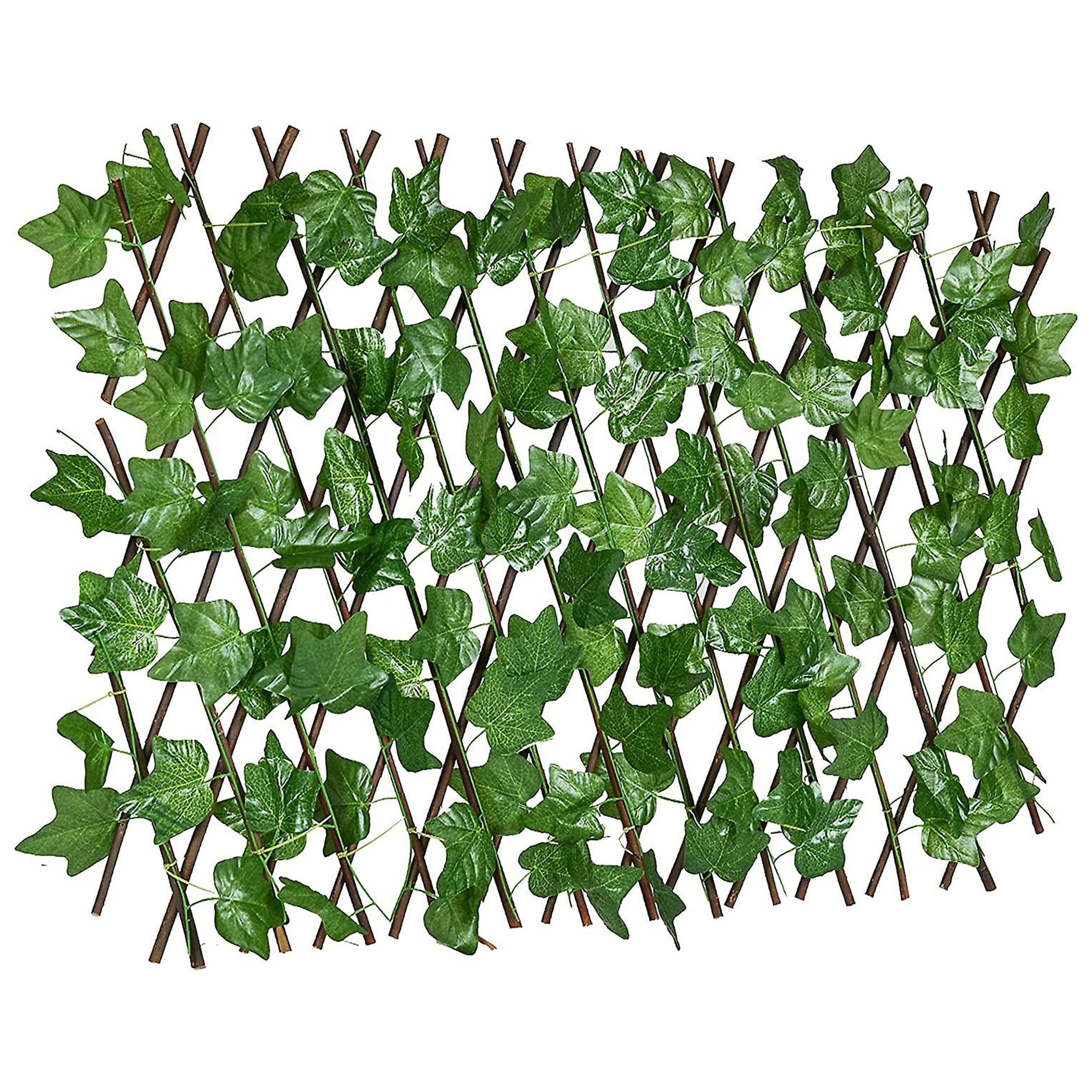 TIED RIBBONS Artificial Expandable Grass Fence Hedge Green Leaves Trellis (182.88 cm x 40.64 cm) Decorative Items for Home Decor Garden Balcony Creeper Plant Outdoor Restaurant Wall Decoration