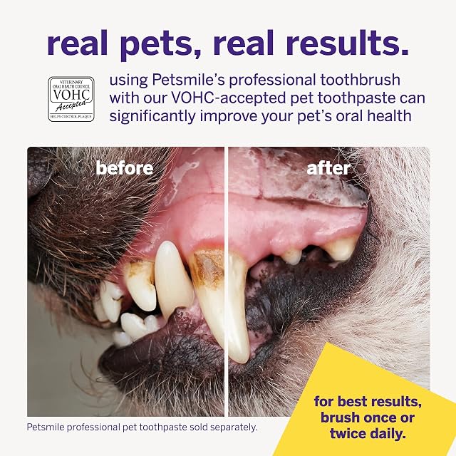 Foto 6 de 7 de petsmile Cepillo de Dientes Profesional para Mascotas Cabeza de Cepillo de Doble Extremo Patentado 45°