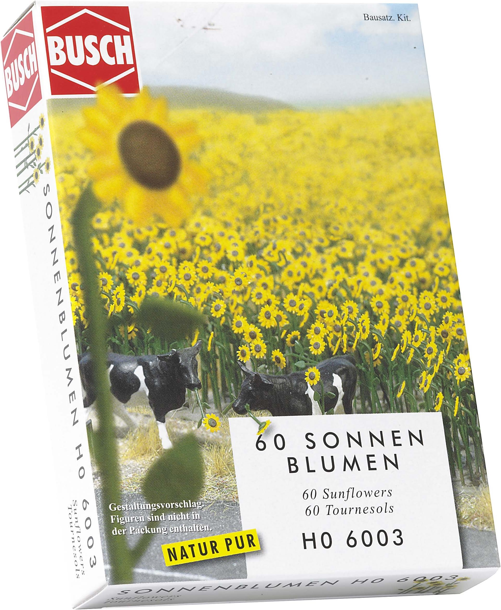 Ho Sunflower Field