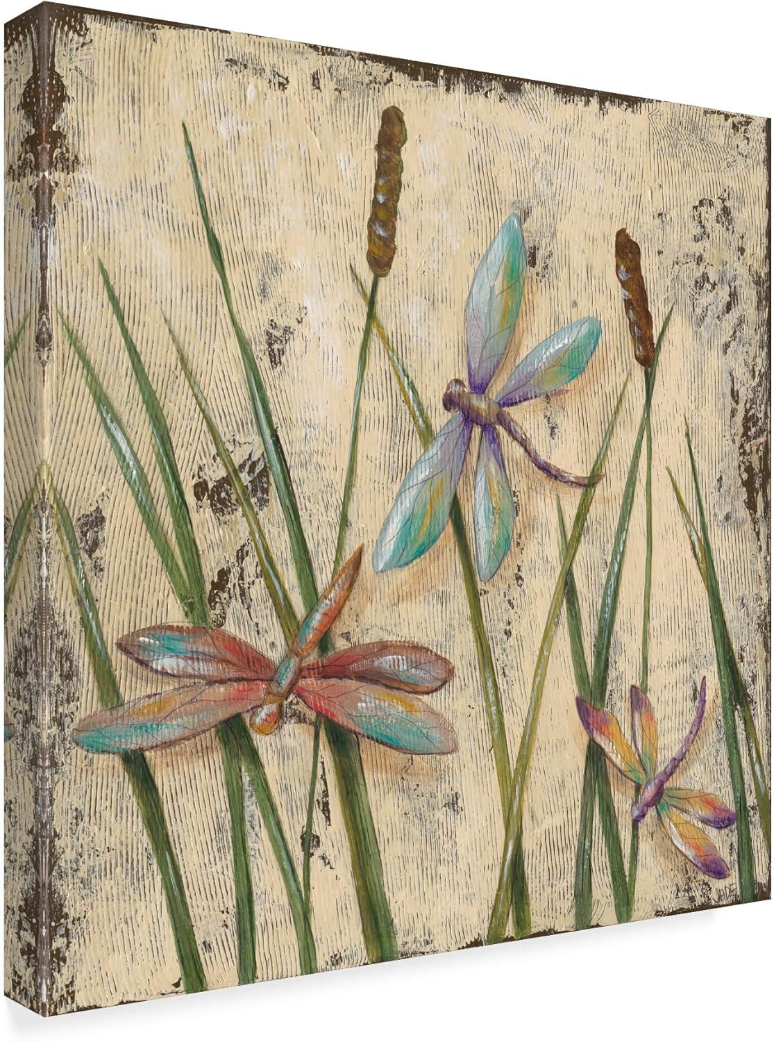 Multicolor Dragonfly Print on Canvas for Kids' Rooms