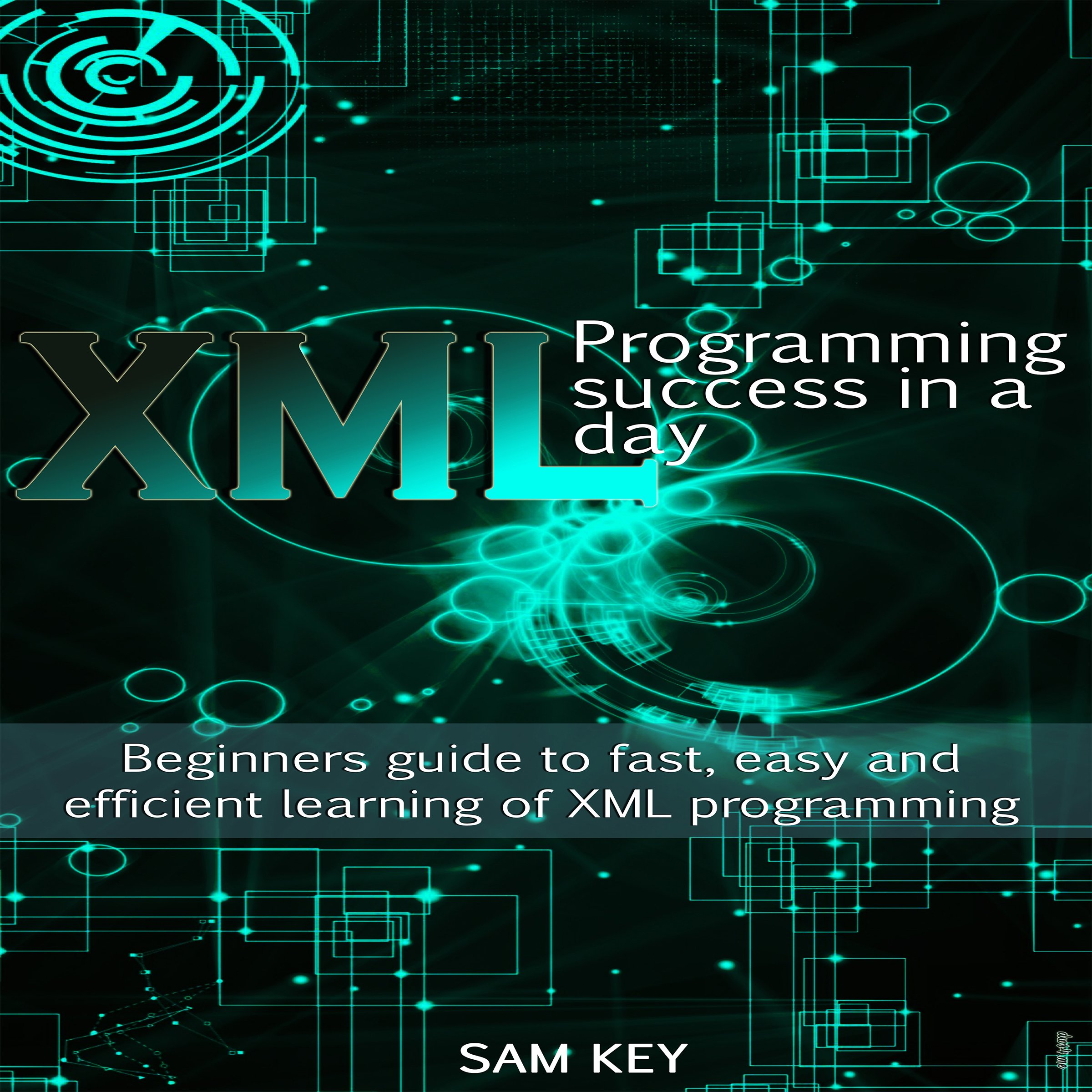 XML Programming Success in a Day