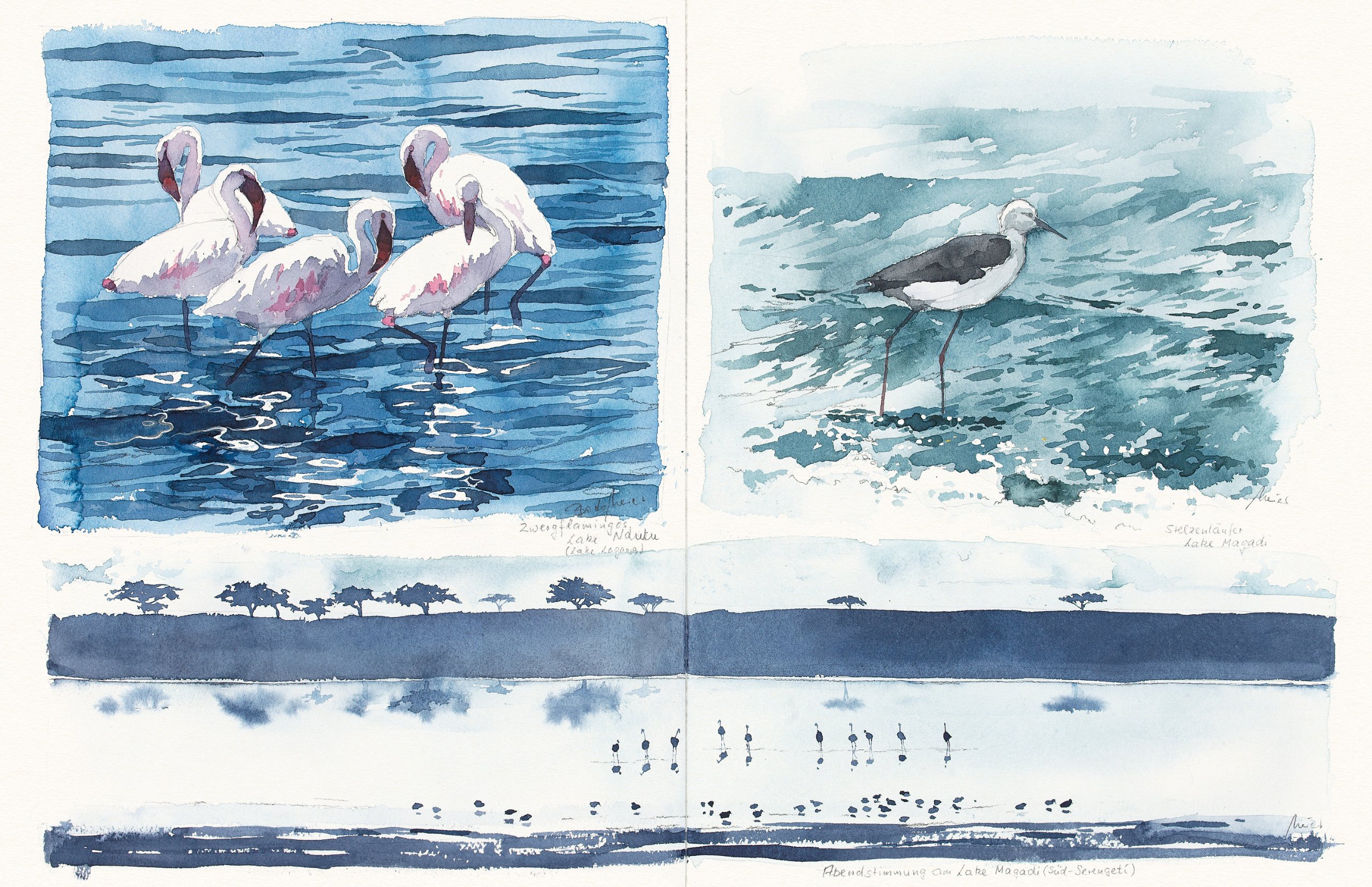 Mal-Reise - Serengeti lebt!: Skizzen, Studien, Aquarelle