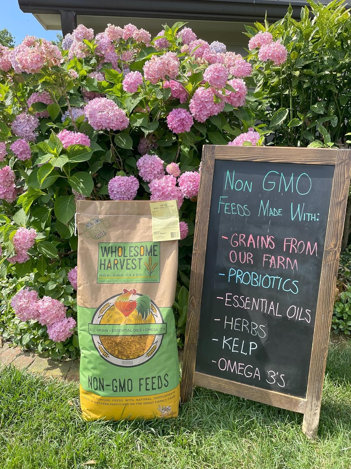 Non-GMO All-Grain Goat Feed 16% Protein - Fortifies with Goat Minerals, Vitamins, and Natural Ingredients for Strong Bones, Healthy Digestion, and Optimal Growth - 10 lb Bag