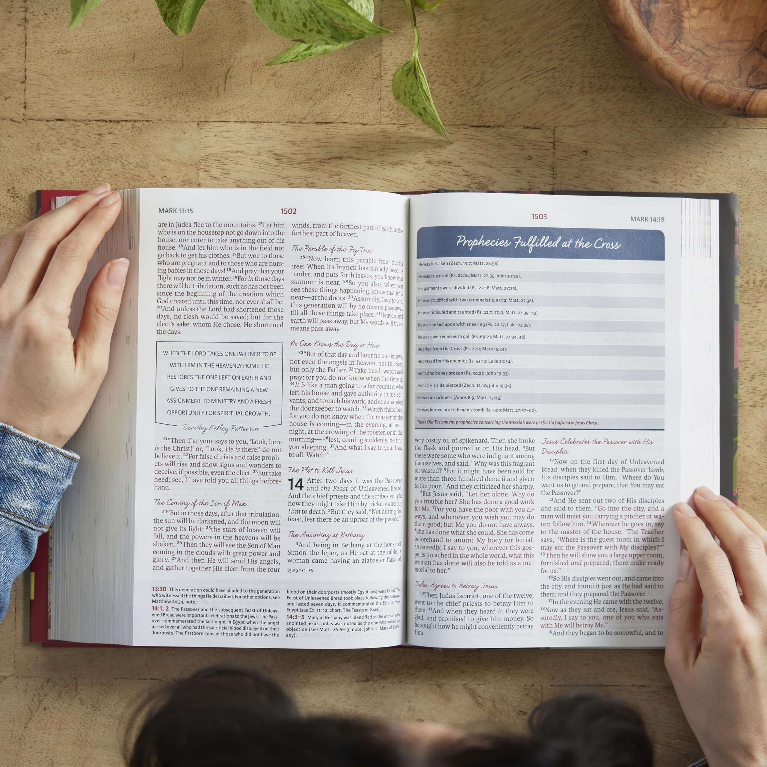 NKJV, The Woman's Study Bible, Cloth over Board, Pink Floral, Red Letter, Full-Color Edition: Receiving God's Truth for Balance, Hope, and Transformation