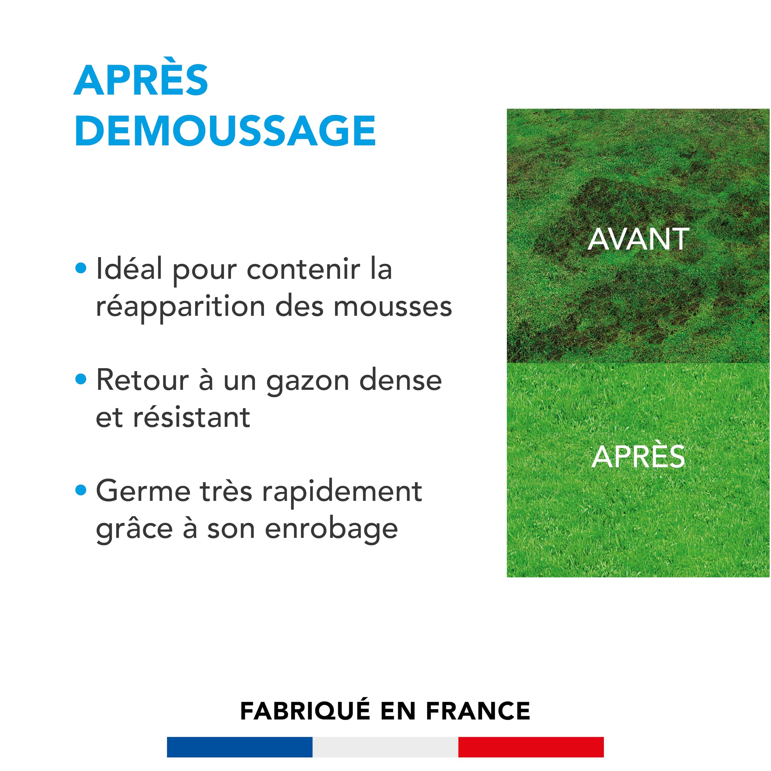 BARENBRUG - Soin Après Démoussage - Réparation Anti-Mousse - 3KG | Gazon Dense et Résistant - Germe Très Rapidement - Semences avec Enrobage - Fabriqué en France