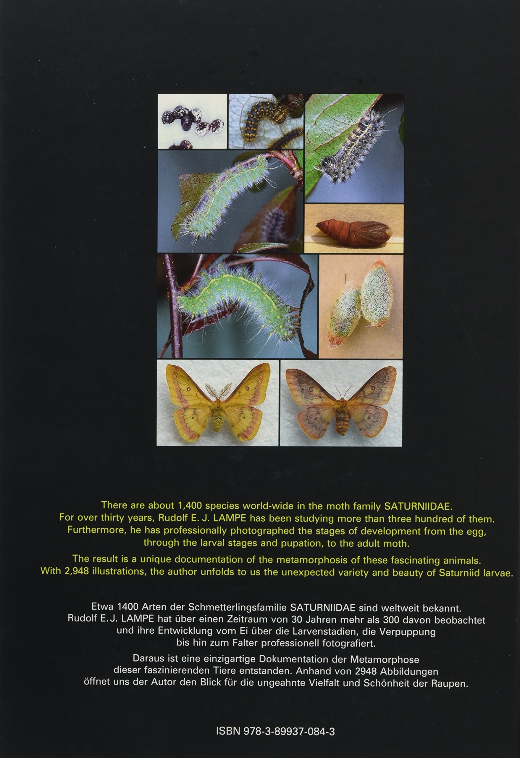 Saturniidae of the World Pfauenspinner der Welt: Their Life Stages from the Eggs to the Adults Ihre Entwicklungsstadien vom Ei zum Falter