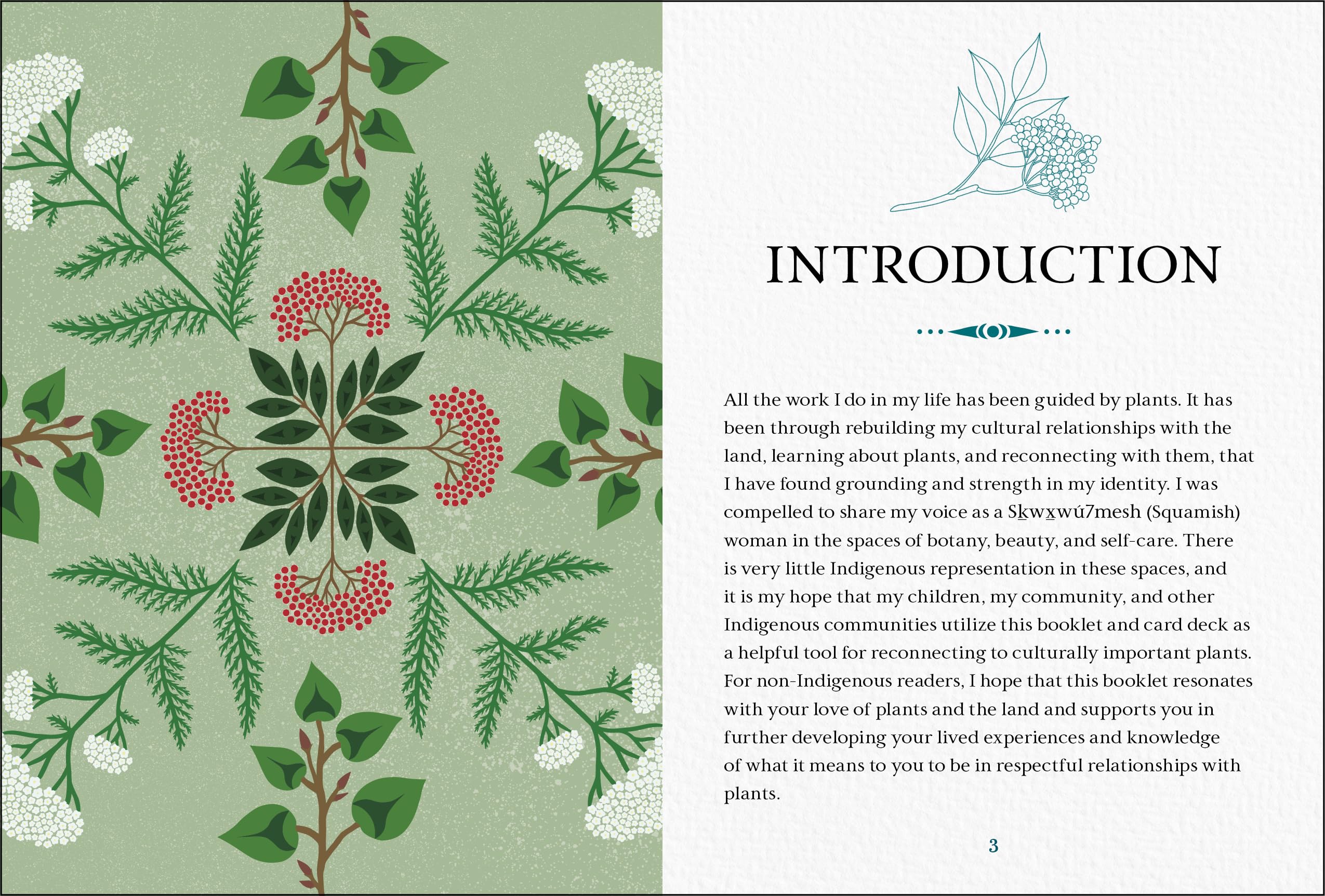 Held by the Land Deck: 45 Ways to Use Indigenous Plants for Healing & Nourishment - Guidebook + Cards