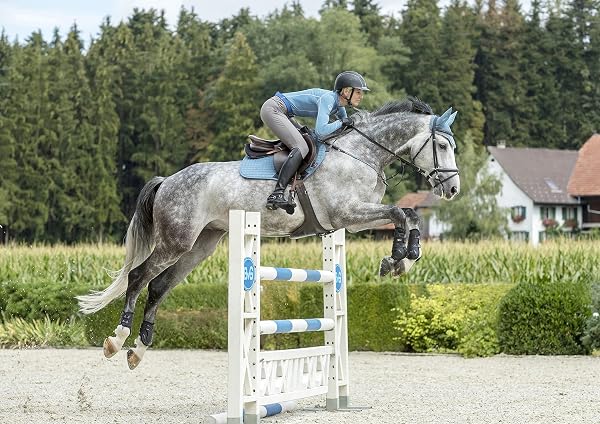 LeMieux Classic Crochet Fly Hood with Comfortable Lycra Ears - Sport Horse Wear for Competitive Rider - 3