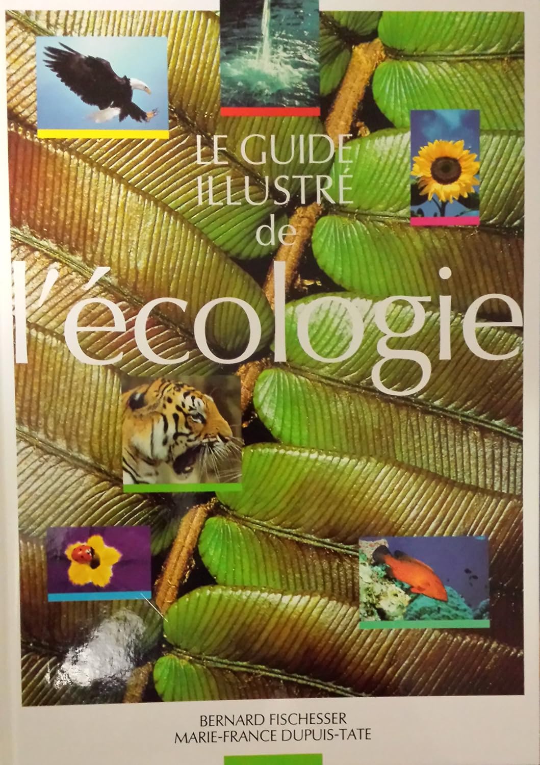 le-guide-illustr-de-l-cologie-amazon-ca-books