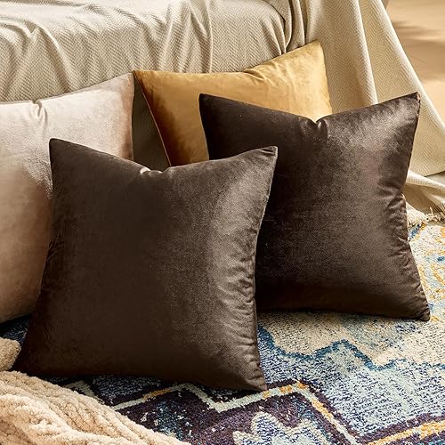 Vista 247 de GIGIZAZA - Juego de 2 fundas de almohada decorativas de 18 x 18 pulgadas, fundas de almohada cuadradas de terciopelo verde azulado pavo real