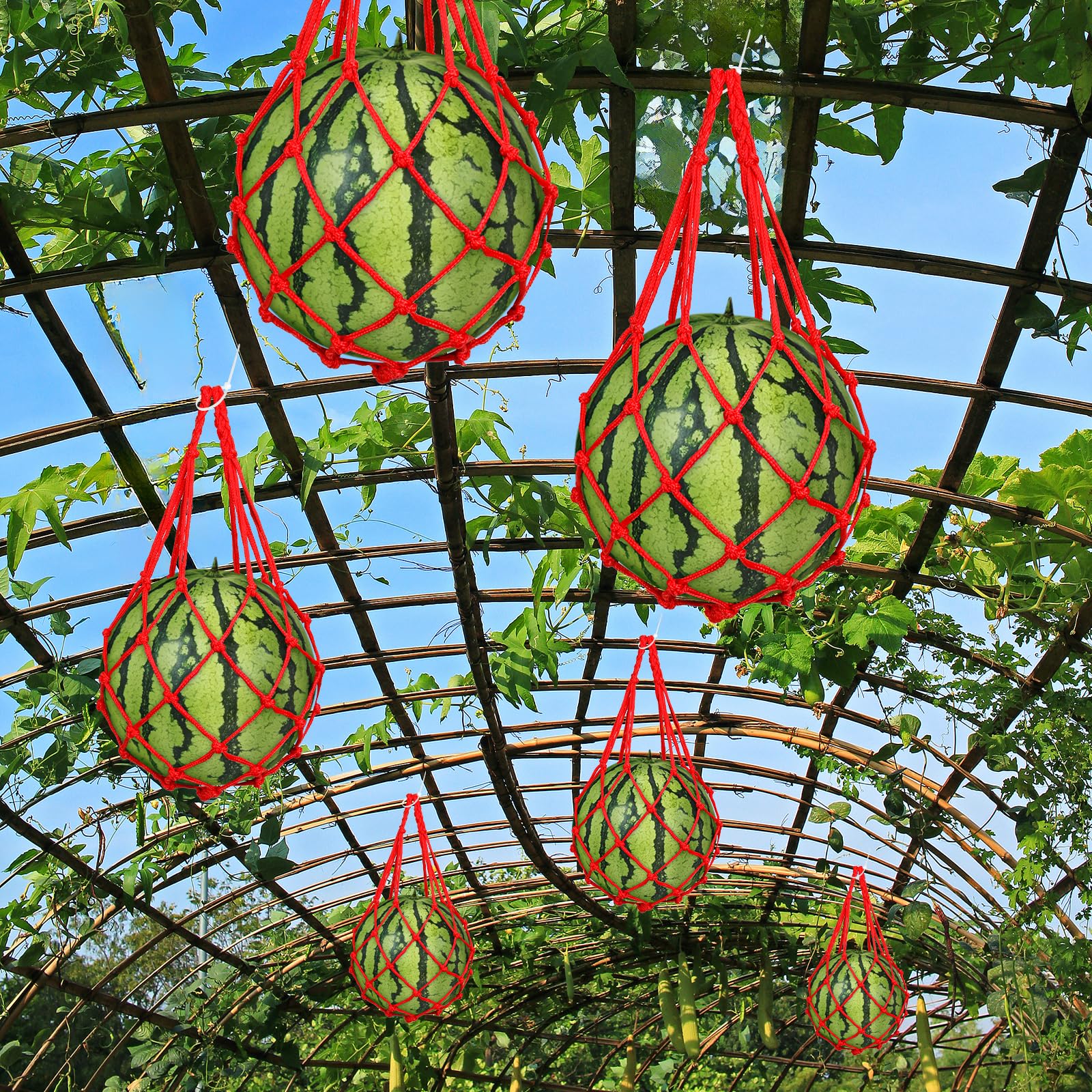 Amazon.com : yuuzue 12 Pcs Watermelon Net with 30 Cable Zip Ties
