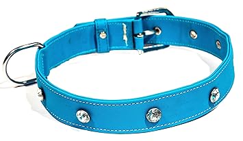Tame Love? Export Quality Imported Stone Stud Fancy Dog Collar for Big Breeds (1.25 inches - Blue Color)