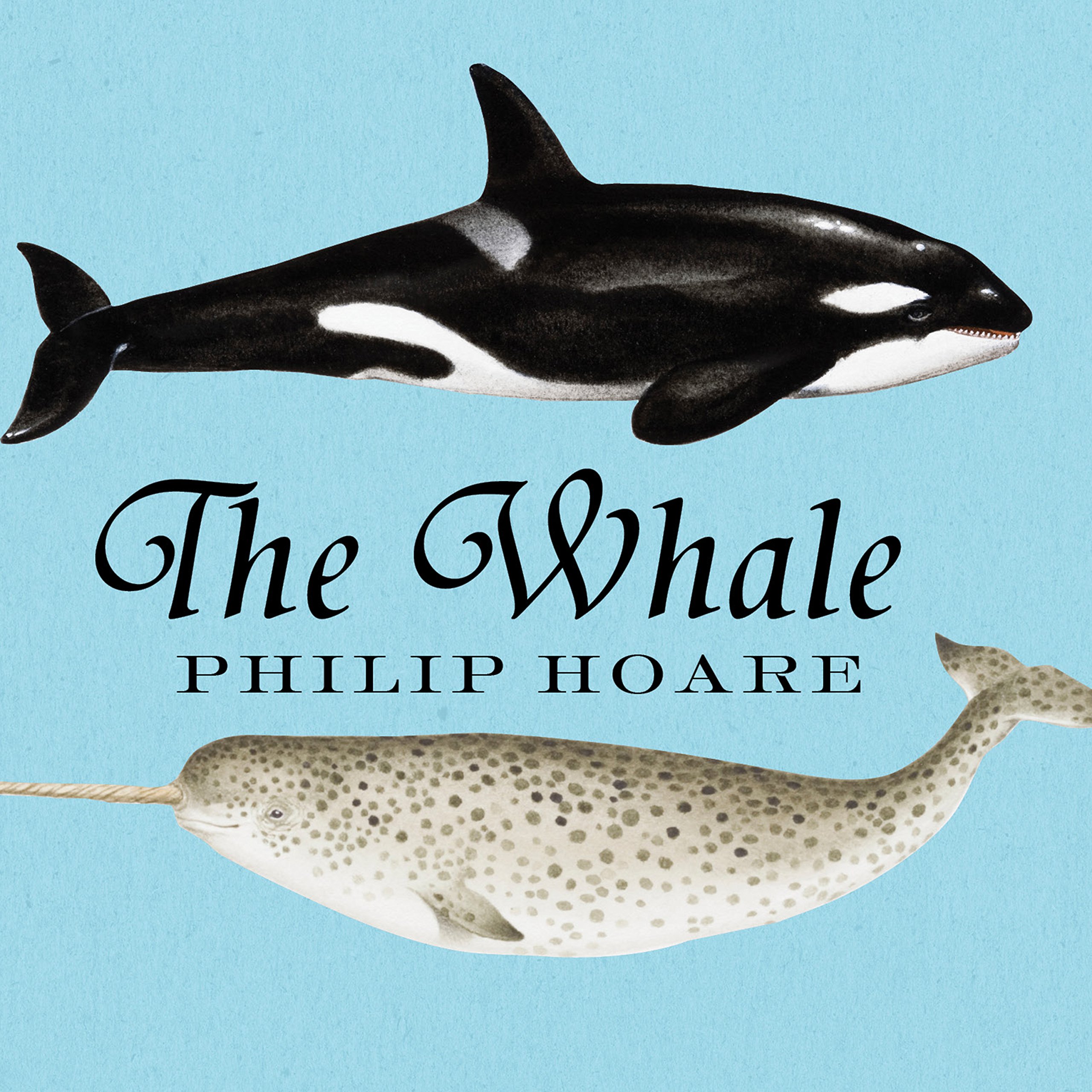 Cover art for The Whale