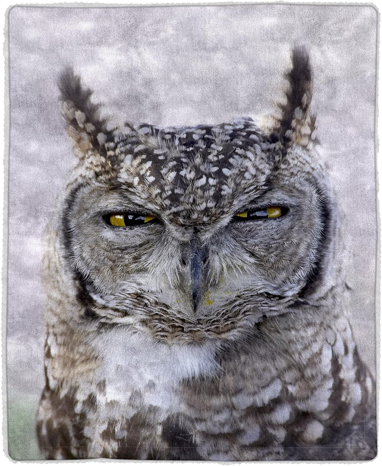 Sherpa Fleece Throw Blanket- Owl Print Pattern, Lightweight Hypoallergenic Bed or Couch Soft Cozy Plush Blanket for Adults and Kids by Lavish Home