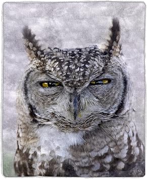 Sherpa Fleece Throw Blanket- Owl Print Pattern, Lightweight Hypoallergenic Bed or Couch Soft Cozy Plush Blanket for Adults and Kids by Lavish Home