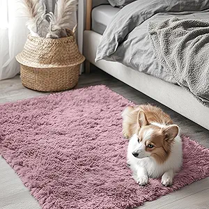 OLANLY 2x3 Machine Washable Small Bedside Rug, Soft Fluffy Shaggy Entryway Throw Rugs for Bedroom, Living Room, Indoor Floor Carpet for Kids Girls and Boys, Nursery Rooms, Home Decor Aesthetic, Blush