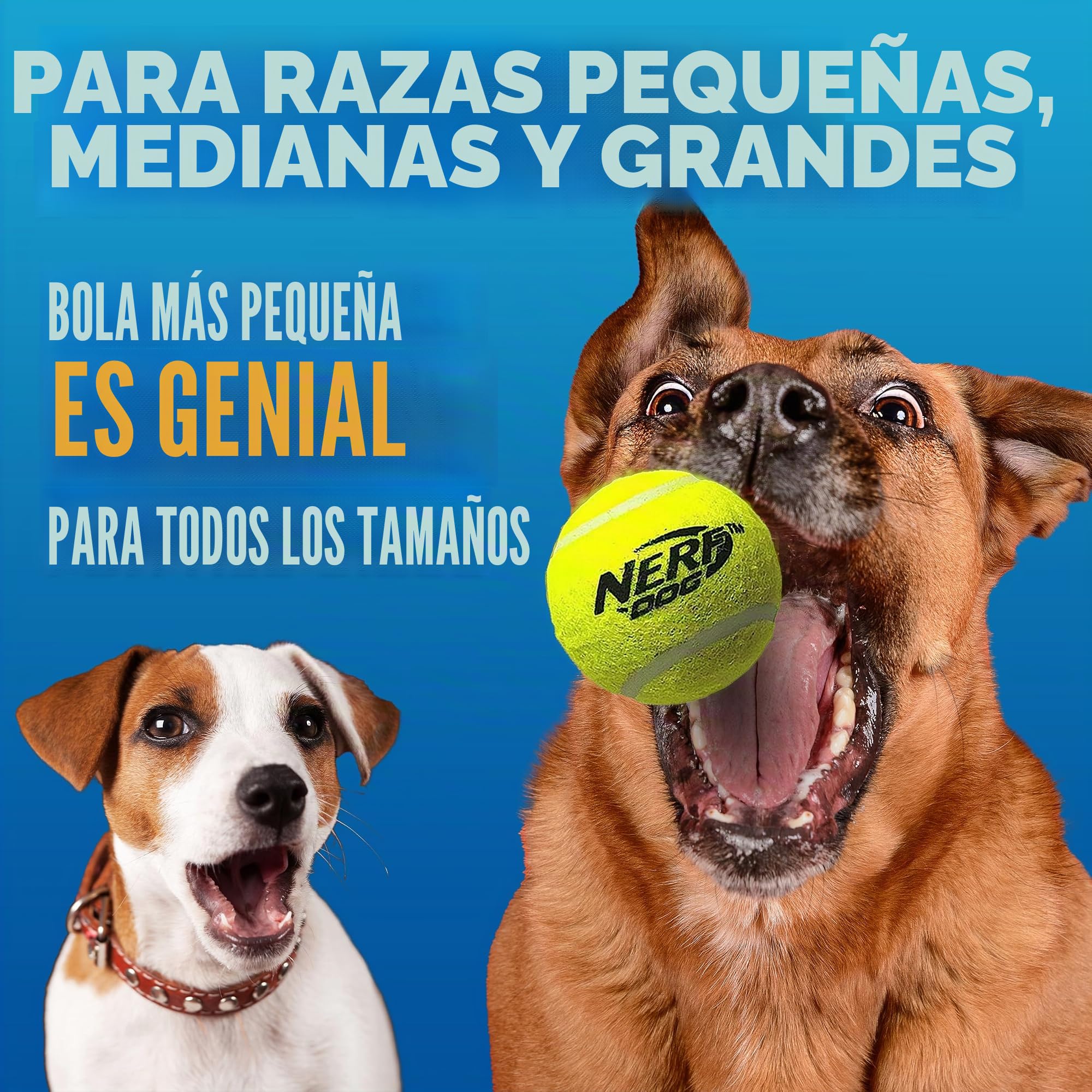 Nerf Dog Juego de Regalo de Juguete para Perros de Pelota de Tenis, Lanzador de Pelotas de Tenis para Perros de hasta 50 pies, Lanzador de Pelotas de Perro para Todas Las Razas, Incluye Lanzador de