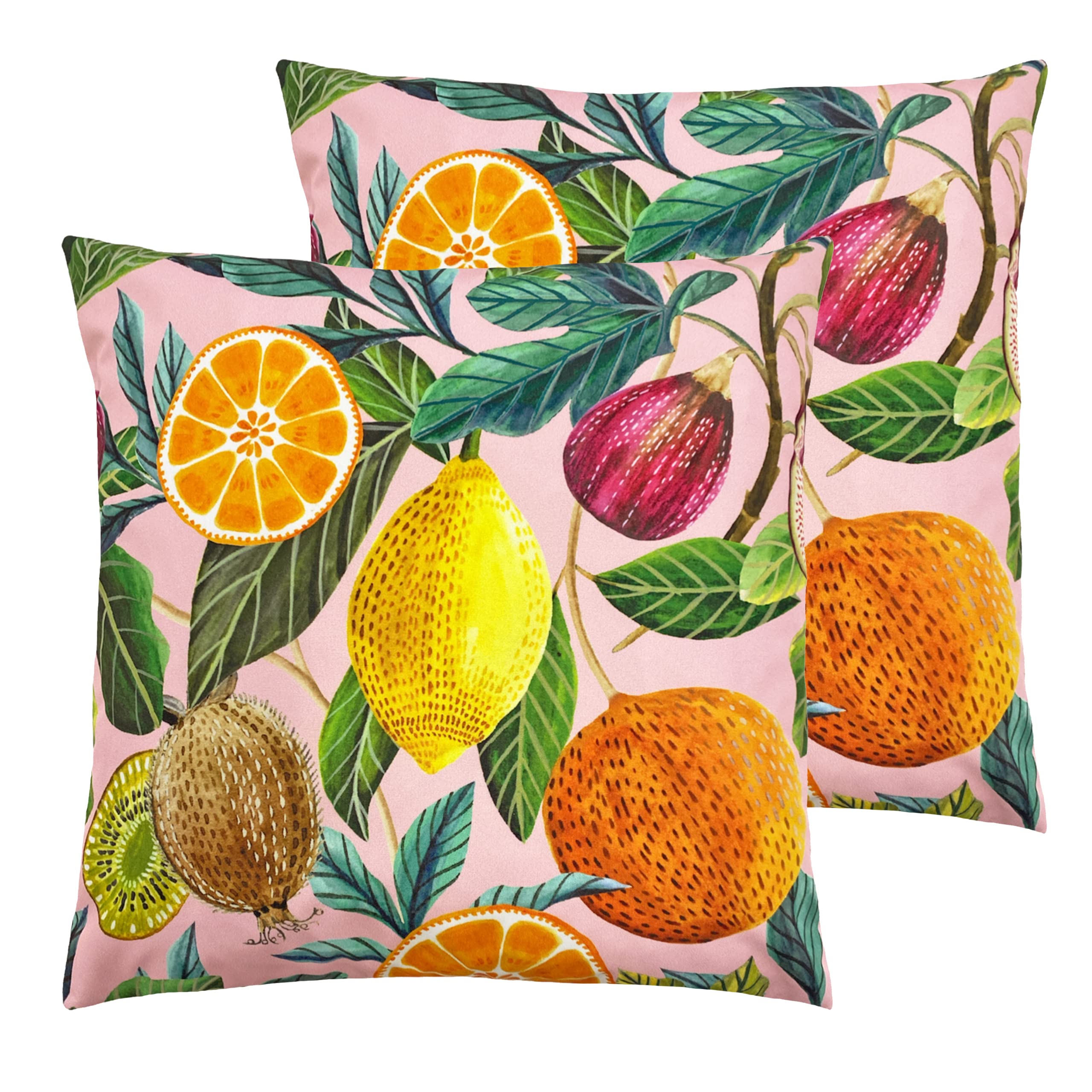 furn. Citrus Outdoor Cushions (Twin Pack), Multi, 43 x 43cm