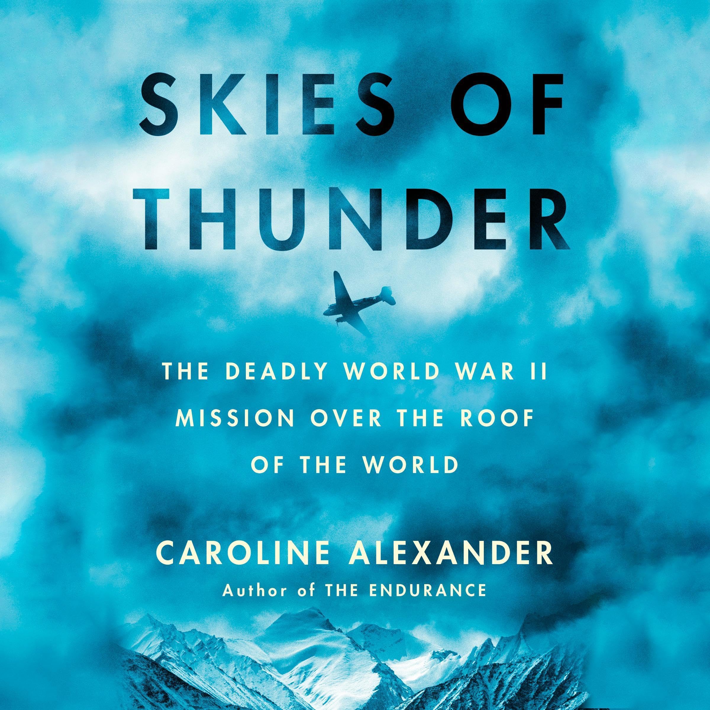 Cover art for Skies of Thunder