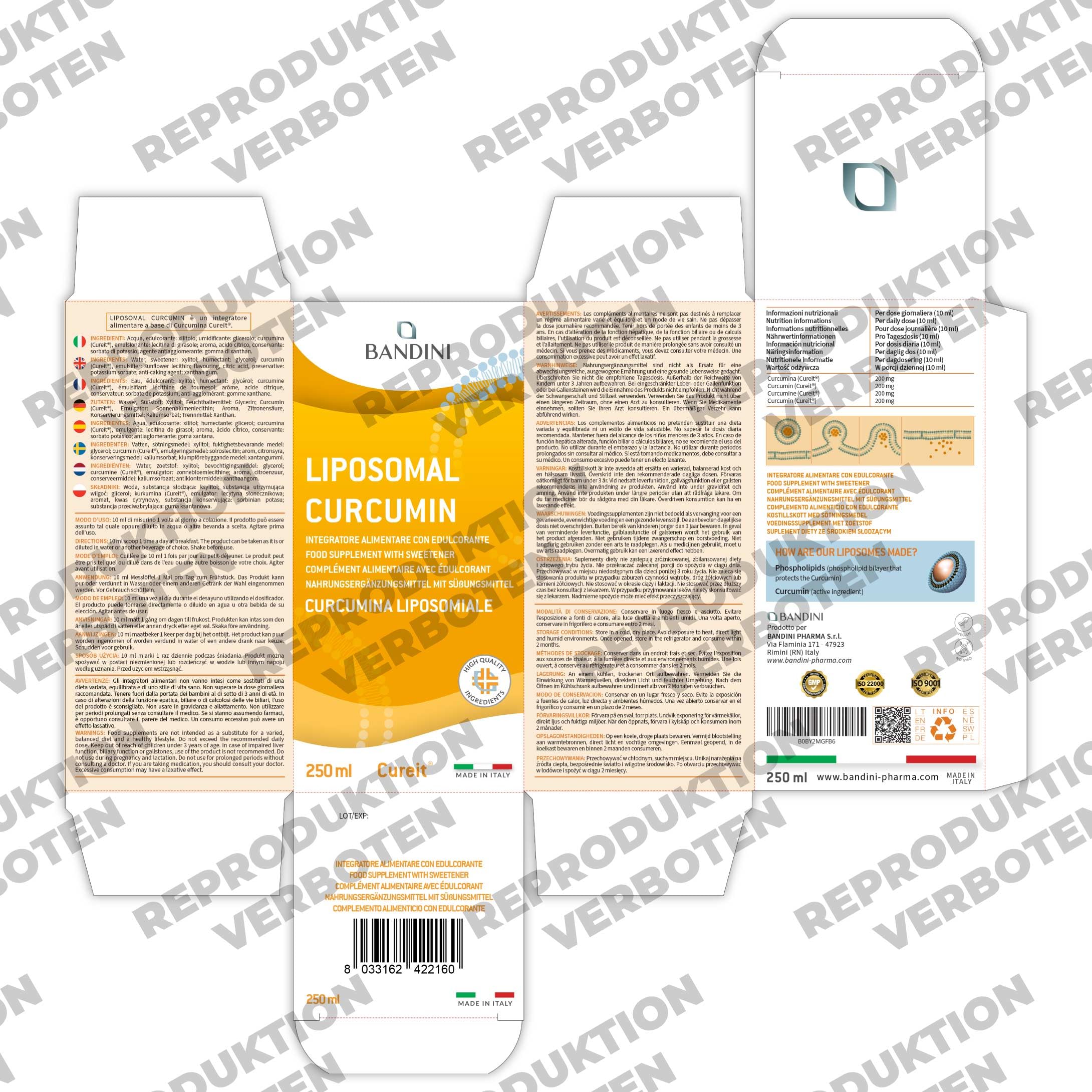 Bandini® Liposomales Curcumin Cureit® 250ml flüssig | Hochdosiert mit 200 mg Kurkumin pro Tagesdosis | Curcuma Extrakt mit Sonnenblumenlecithin | hohe Bioverfügbarkeit | 25 Portionen | Vegan, GMO-frei
