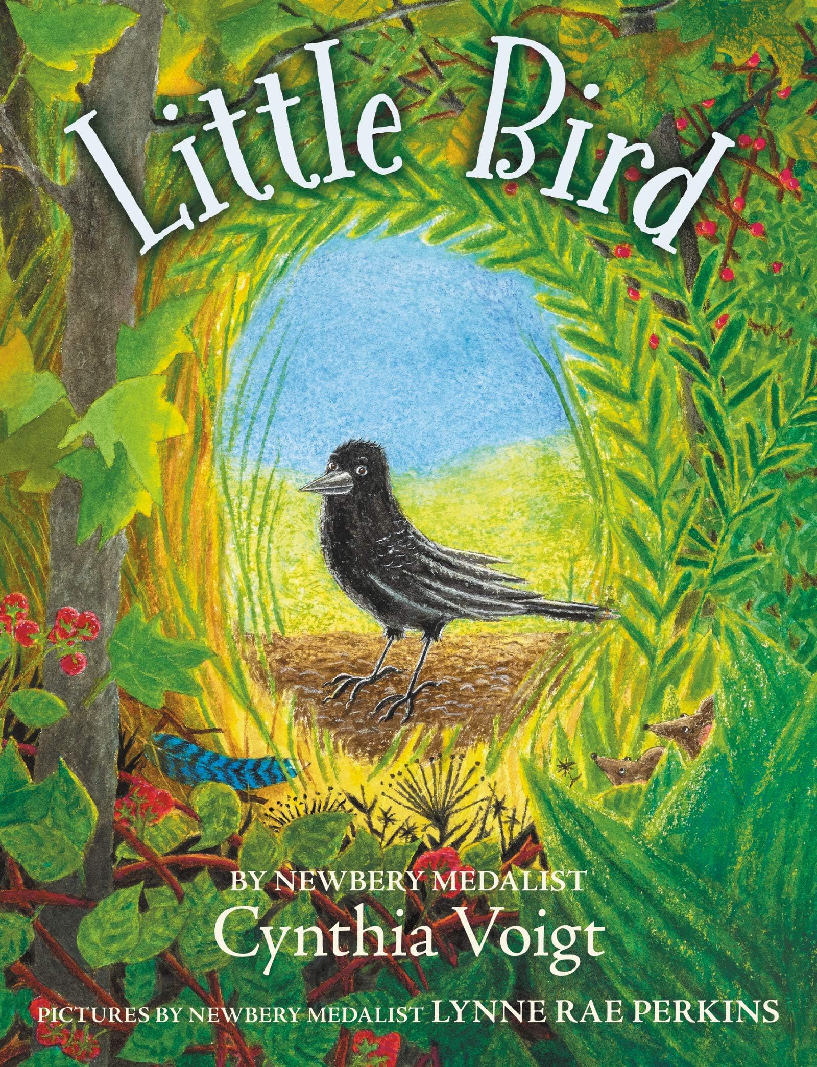 Greenwillow Books Little Bird