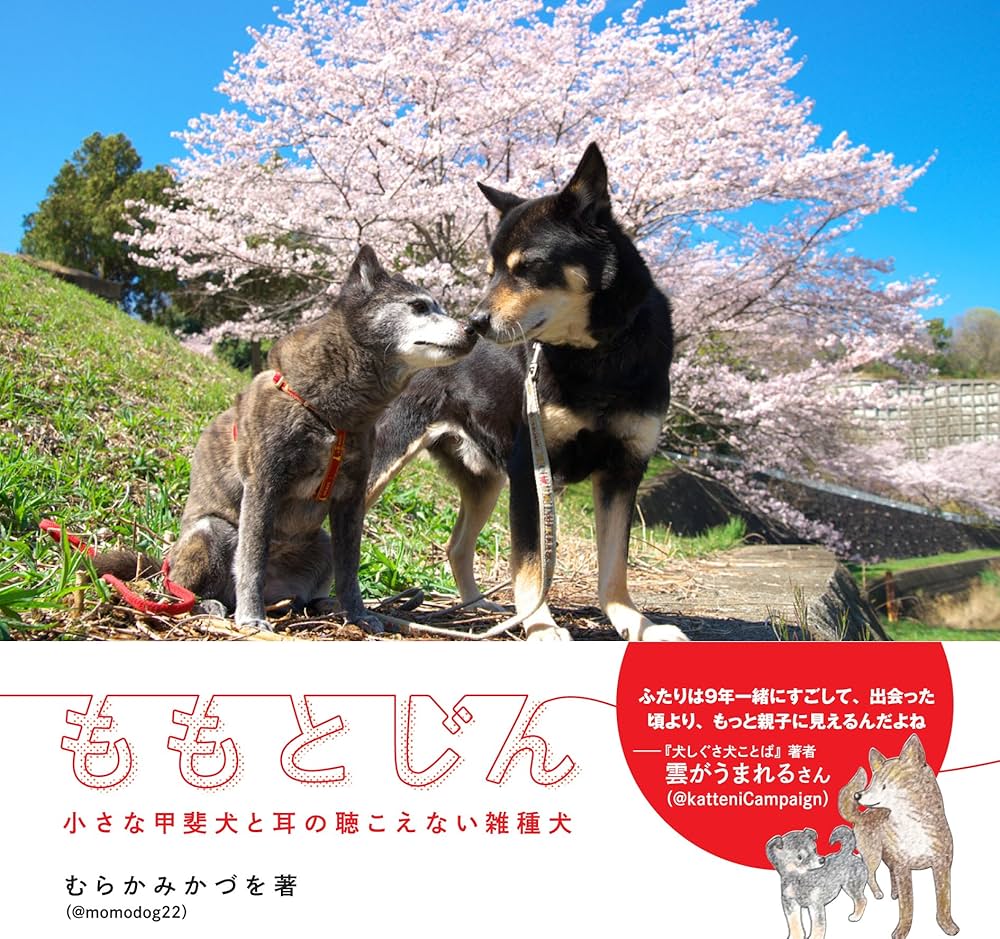 こまつのこま犬。様 リクエスト 2点 まとめ商品 スマック キャットスマック にゃんズ満足 多頭飼い用 かつお味