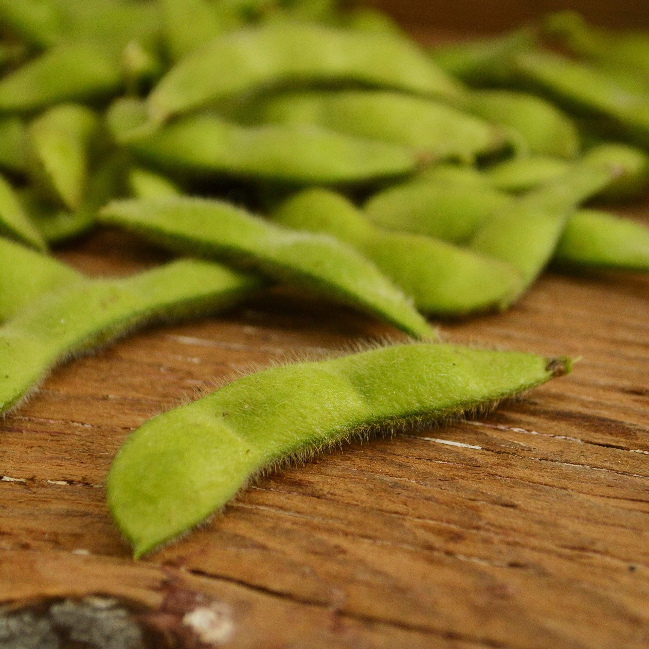 BeSweet Edamame Soy Bean Seeds – USA Non-GMO, Easy To Grow Veggie Seeds For Home Gardeners 2 thumbnail image