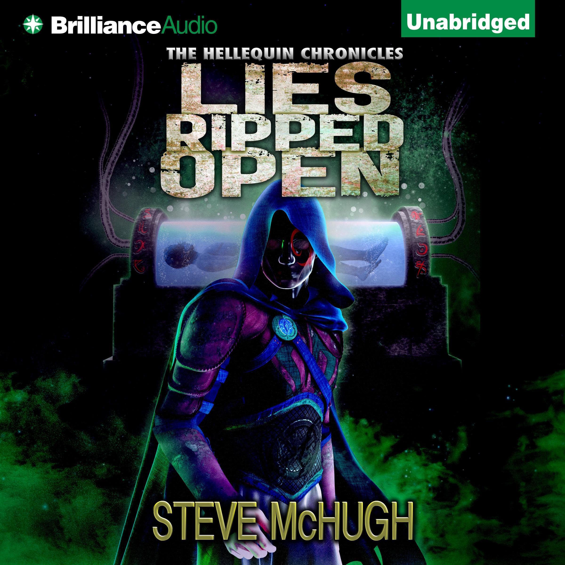Book cover for Lies Ripped Open