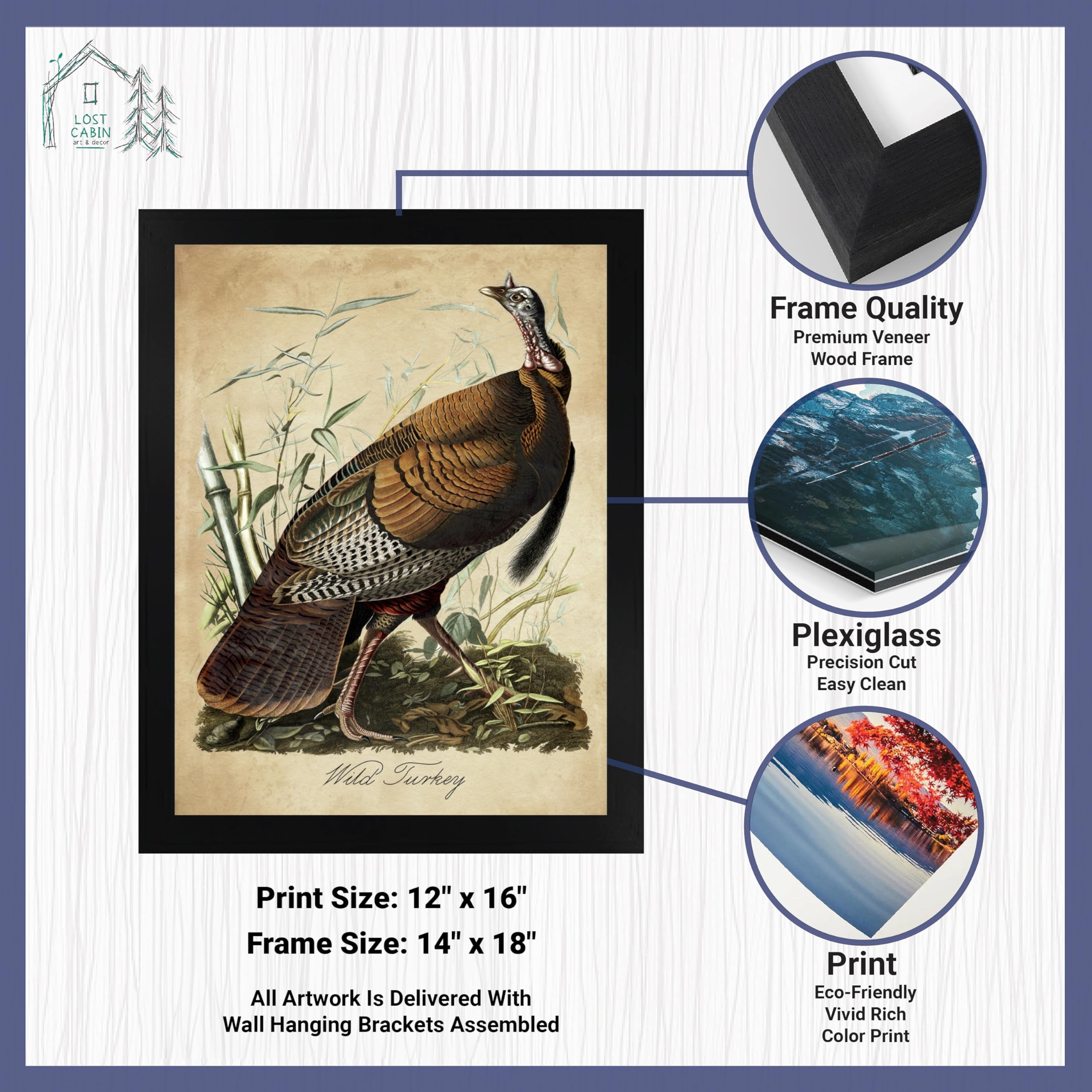 Amazon.com: Wild Turkey by James Audubon 12 x 16 Print in Black