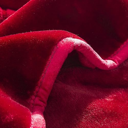 Miniatura 8 de Townhouse Manta con peso en relieve floral súper suave, hermoso diseño sólido, cálida y pesada, 1 capa tamaño jumbo (borgoña)