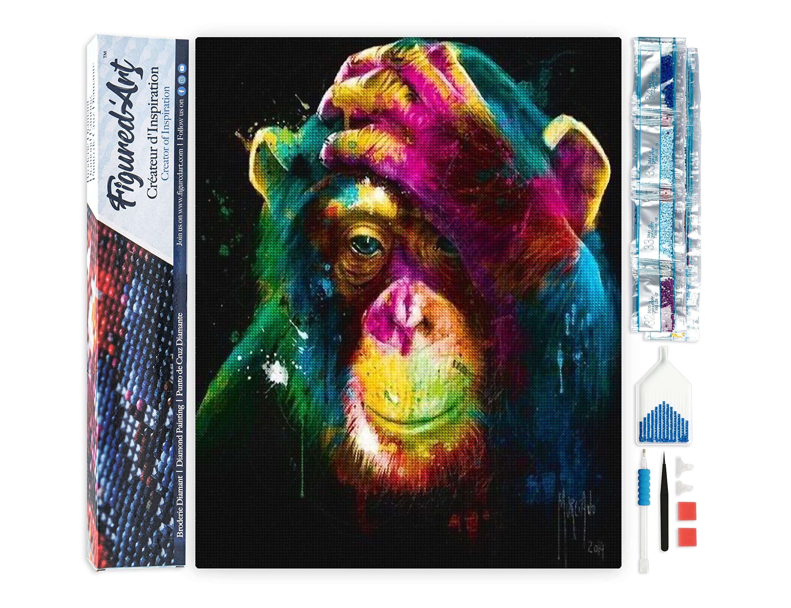 Kit Peinture Diamant 5D Chimpanzé - Toile 30x40cm, Foret Round, DIY Déco Murale, Art Relaxant Pour Adultes