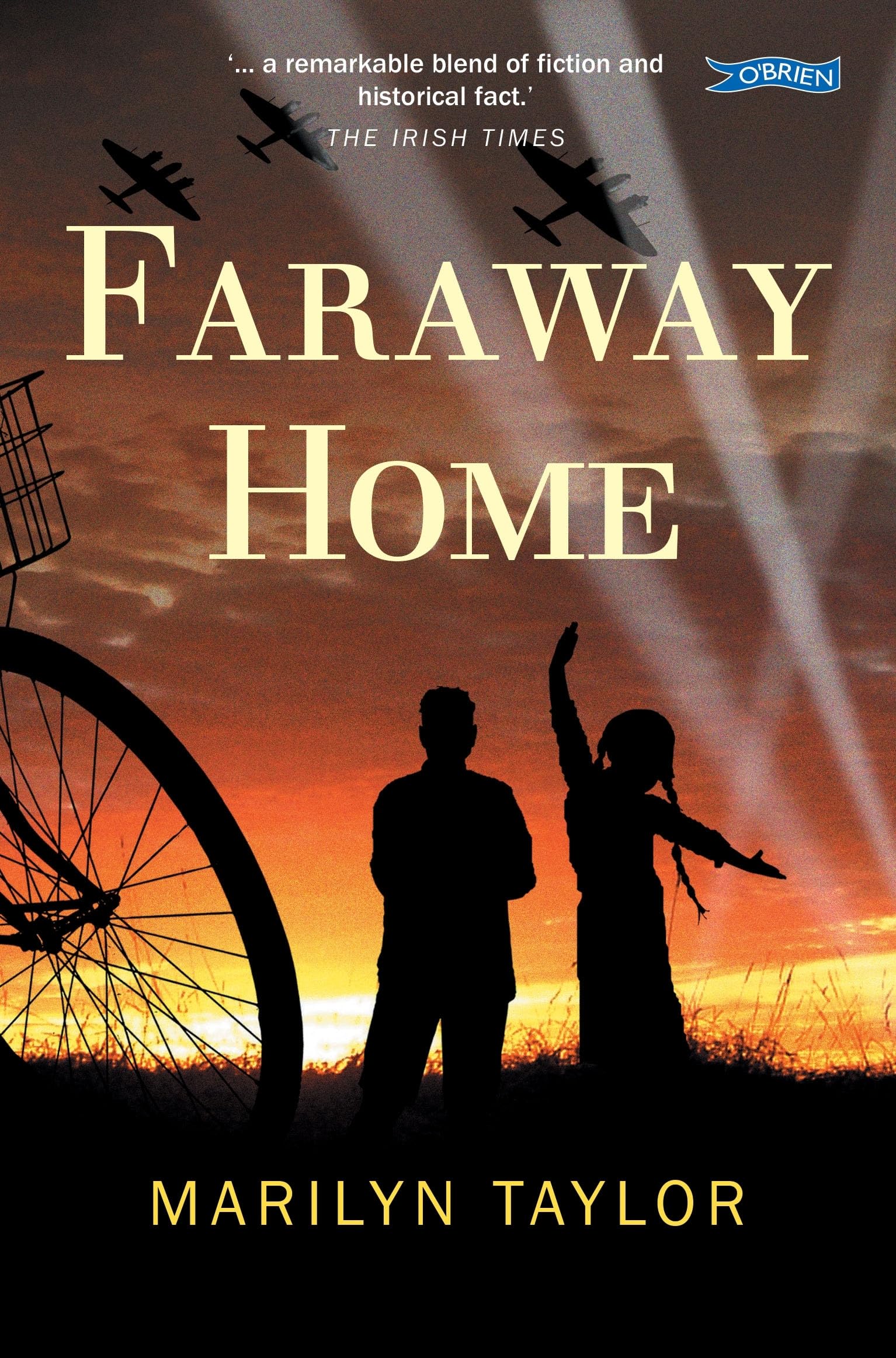 Marilyn Taylor Faraway Home Children's Fiction Book