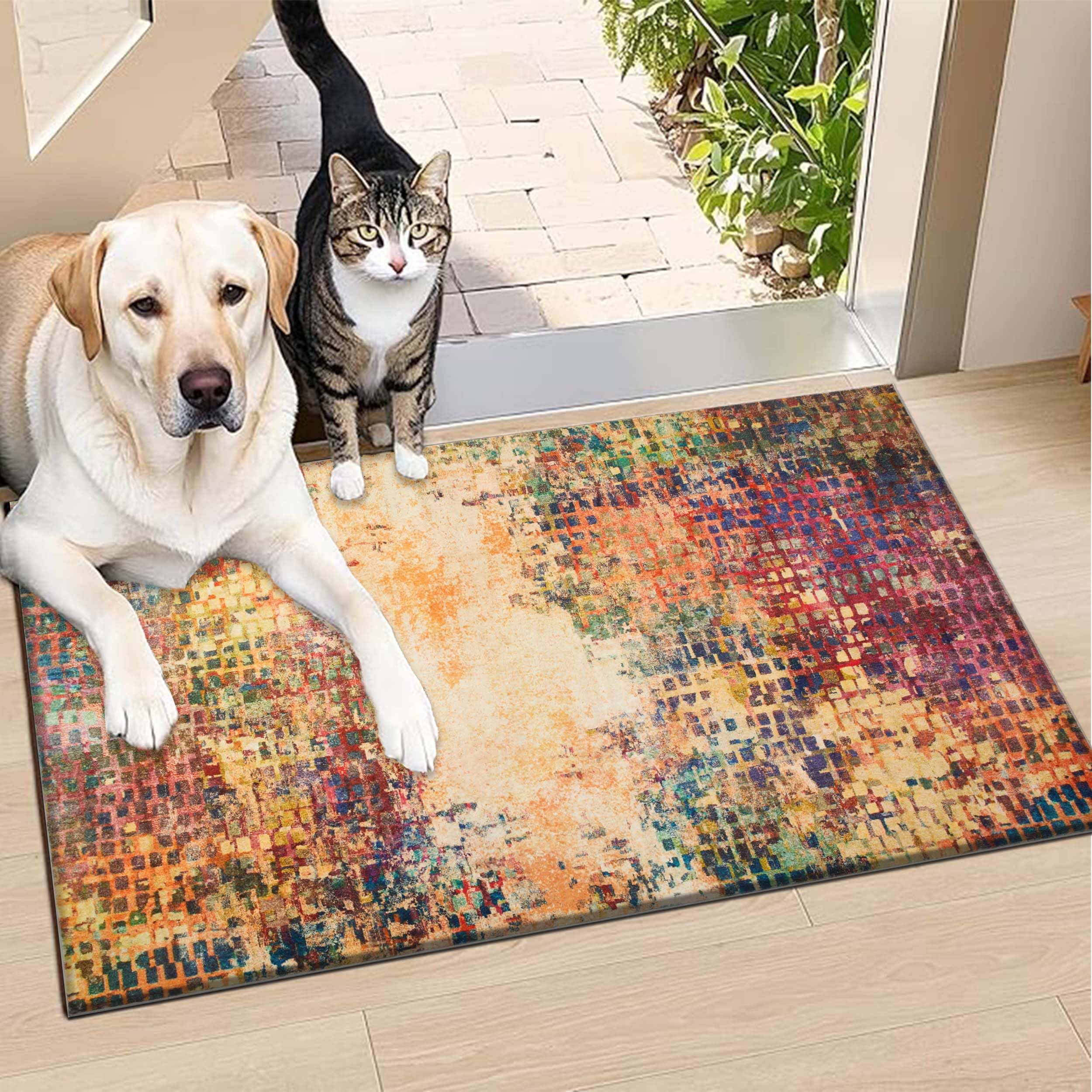 BedLooms Door Mat Indoor – Machine Washable Door Mats Outdoor – Heavy Duty anti Slip TPR Backing Front Doormats - Stylish & Large Perfect Dust Grabbing Entrance Doormat (Vibrant, 60cm x 110cm) — image 1