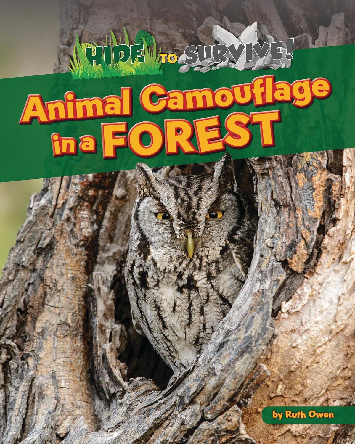 Animal Camouflage in a Forest (Hide to Survive!)