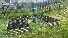 Review Image by Ashton Ashton