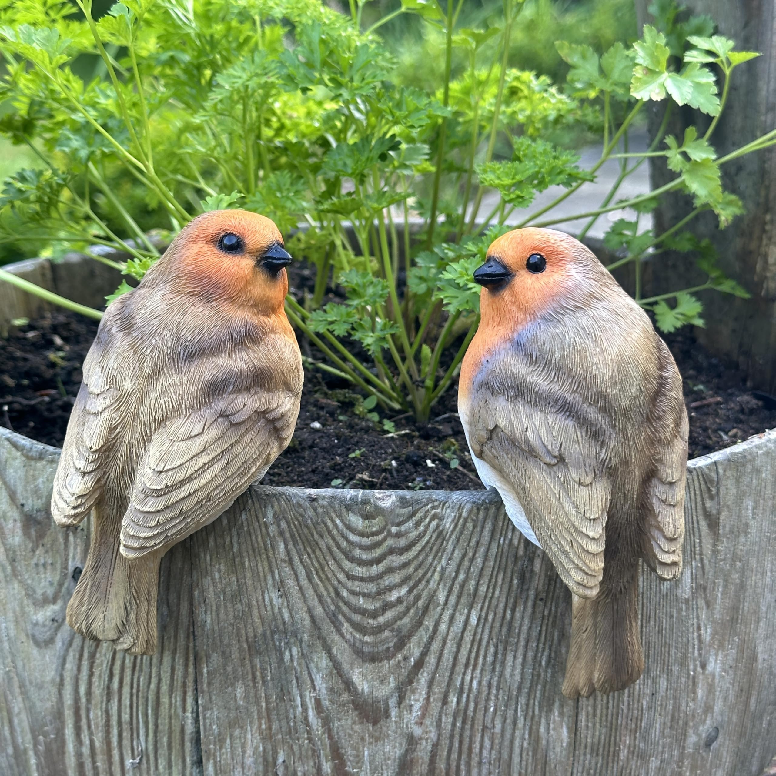 Animal Crackers SET of 2 Robin Plant Flower Pot Hangers novelty garden ornament decoration bird lover gift