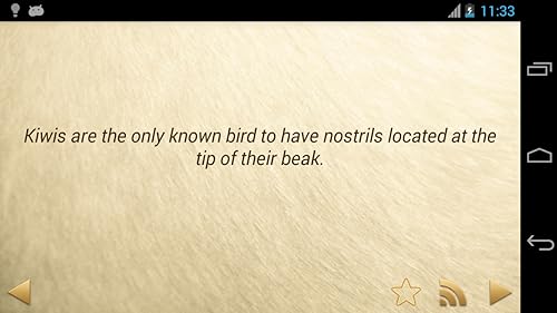 Daily Amazing Animal Facts