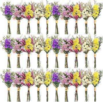 Nuanchu 30 Pcs Mini Dried Floral Flower Forget Me Not Bouquets Dried Embossing Flowers with Stem for Vase, Wedding, DIY Scrapbook Card Party Decor Forget Me No