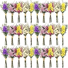 Nuanchu 30 Pcs Mini Dried Floral Flower Forget Me Not Bouquets Dried Embossing Flowers with Stem for Vase, Wedding, DIY Scrapbook Card Party Decor (Forget Me No)