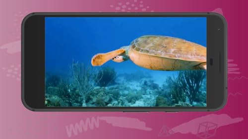 Peaceful Aquarium Oceanic Coral Reefs Deep Sleep Sounds Screensaver for Fire TV – vue 4