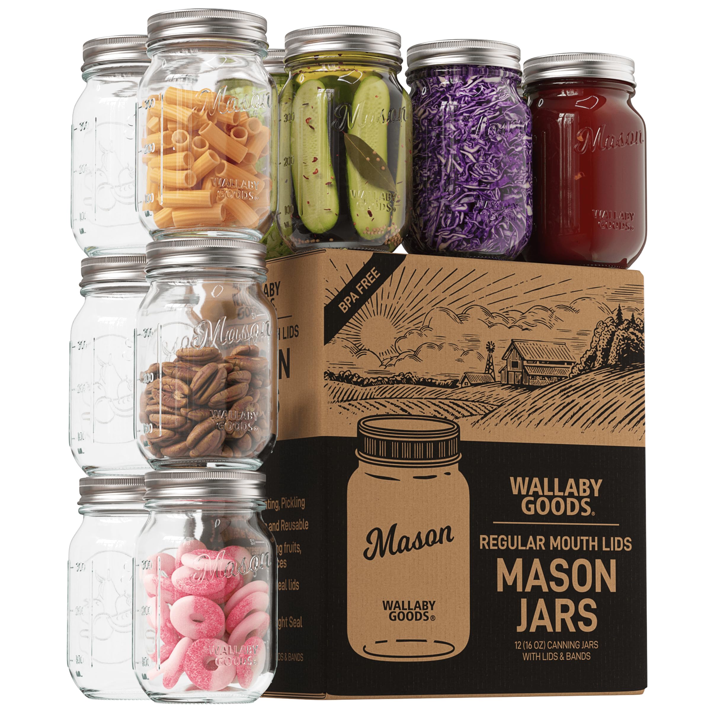 Wallaby 16oz Regular Mouth Clear Mason Jars with Lid & Seal Bands - Airtight Glass Container for Canning, Pickling, Food Storage, Candles, Home Decor, Overnight Oats, Fruit, Jam, Jelly, DIY (12-Pack)