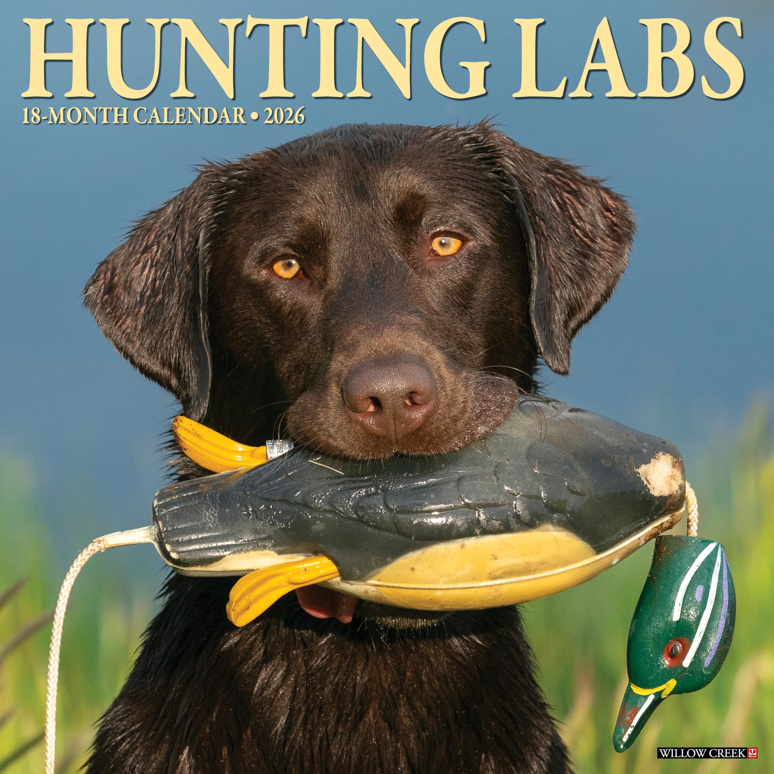 Hunting Labs Calendar 2026, Wall Calendars, Month To View, Dogs, Gift