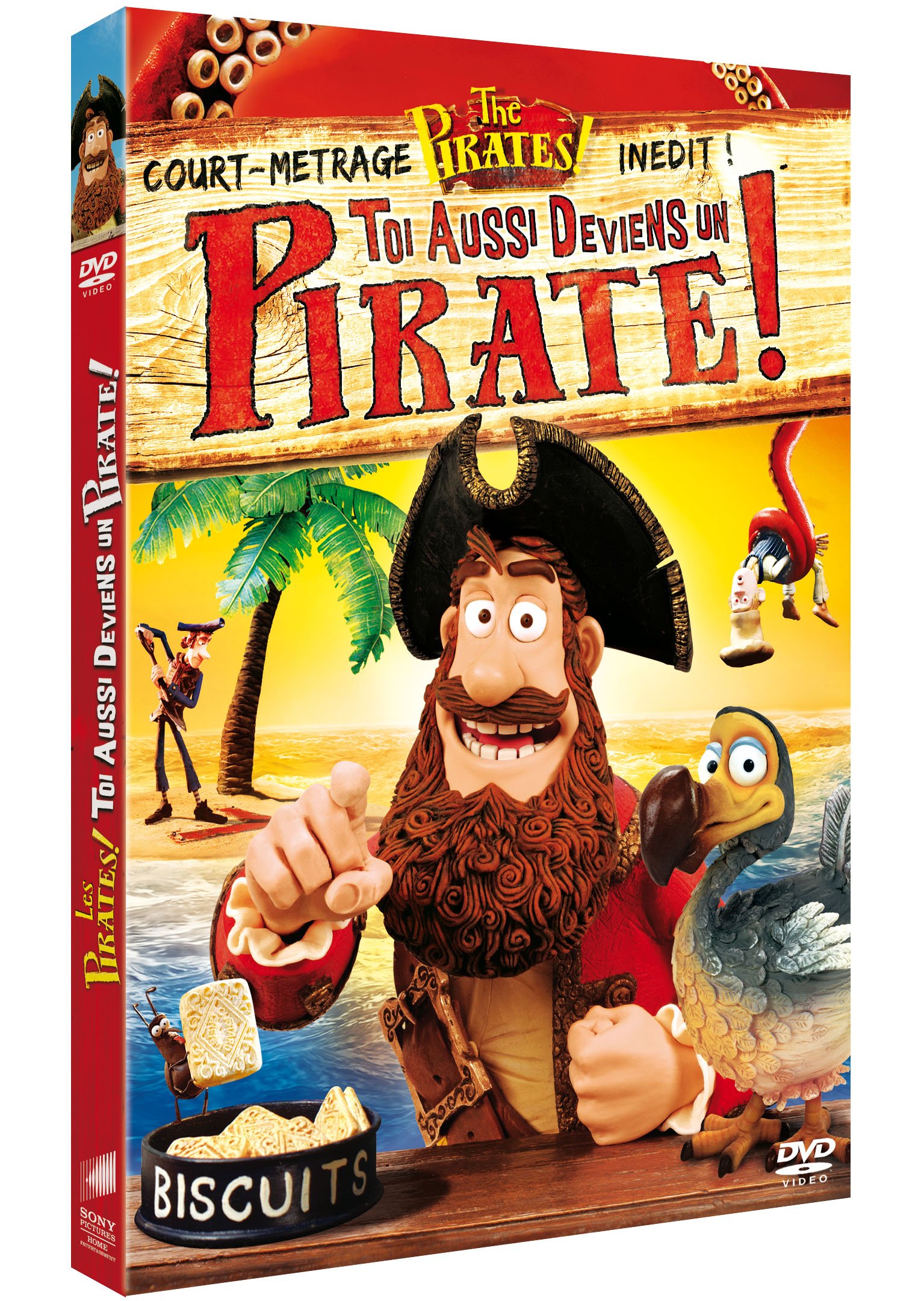 Les Pirates ! - Toi aussi, deviens un pirate ! [DVD]