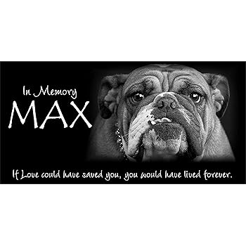 american bulldog memorial